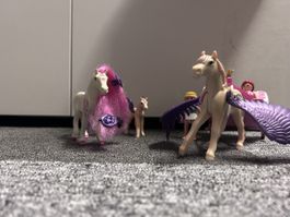 Playmobil Lyria und die Feenkutsche
