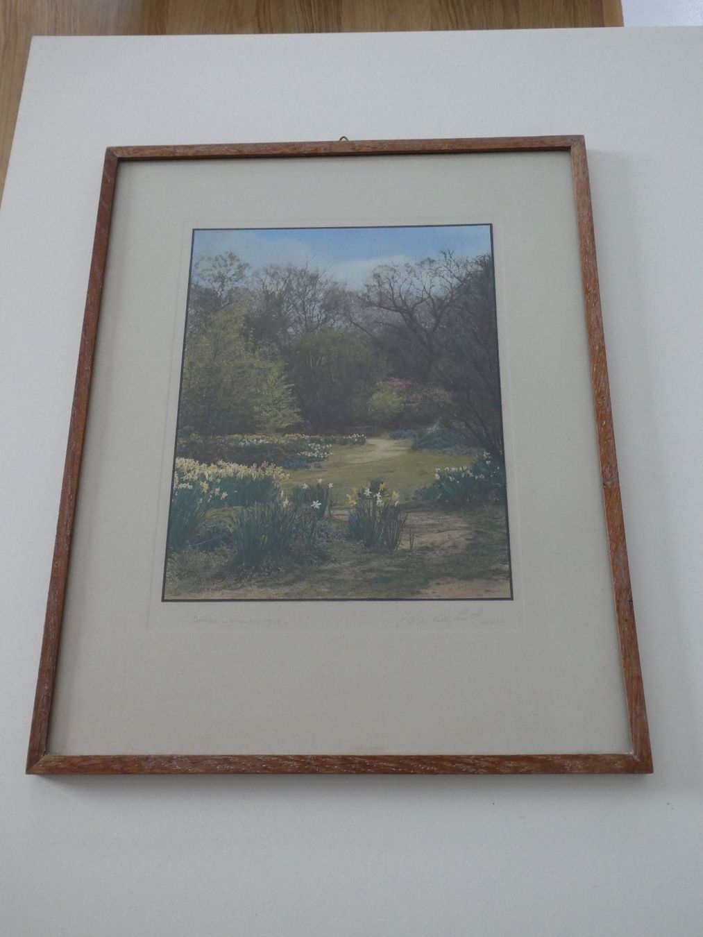 Foto & Immagini: Bild E. Marshall: "Spring Knighton Wood" – Nuovo (secondo la descrizione) da Ehrendingen venduto da JuliaMarley 1