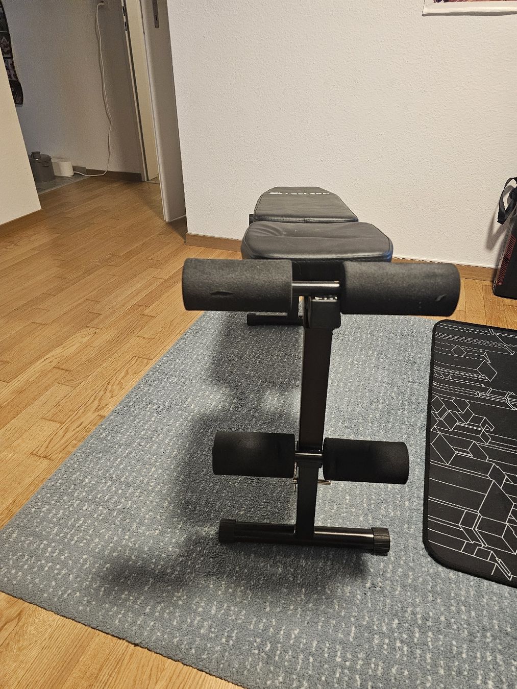 Hometrainer: tectake -Trainingsbank – Usato da Oberengstringen venduto da gre_7wv8 2