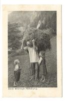 Landwirtschaft - Wildheuer - Kinder - CH-Heimatschutz Nr. 42
