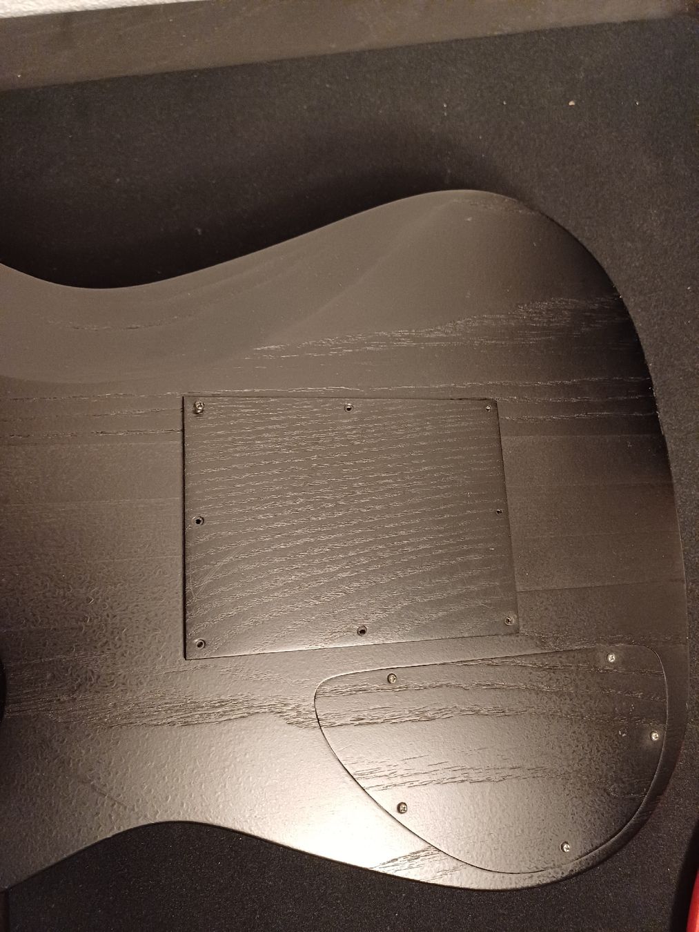 Strumenti musicali: Custom Detonator Gitarre – Usato da Lohn-Ammannsegg venduto da kill-bidi 6
