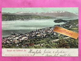 1904 Horgen mit Halbinsel Au