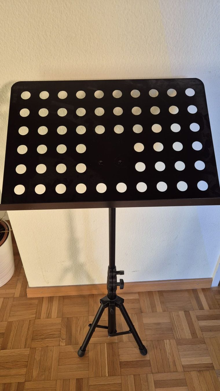 Supporti per strumenti musicali & leggii: Gitarrenzubehör – Usato da Obfelden venduto da mar_px85
