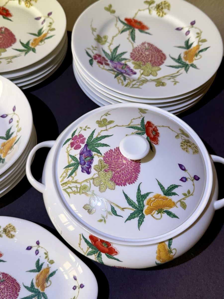 Set di piatti: Raynaud Limoges Dioraflor by CERALENE. – Nuovo (secondo la descrizione) da Le Sentier venduto da dar_hb62 4