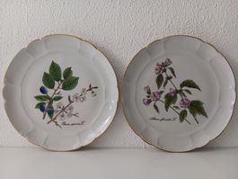 SUISSE LANGENTHAL 2 x assiettes murales de collection