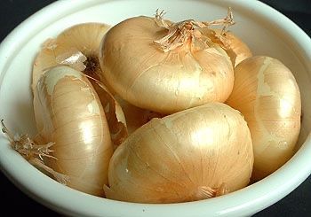 Piante & sementi: 300 Samen Zwiebel FLAT BORETANA – Nuovo (secondo la descrizione) da Ehrendingen venduto da VerveinaSamen 1