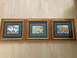 Bilder mit Hühnern, 3 Stk Triptychon hinter Glas