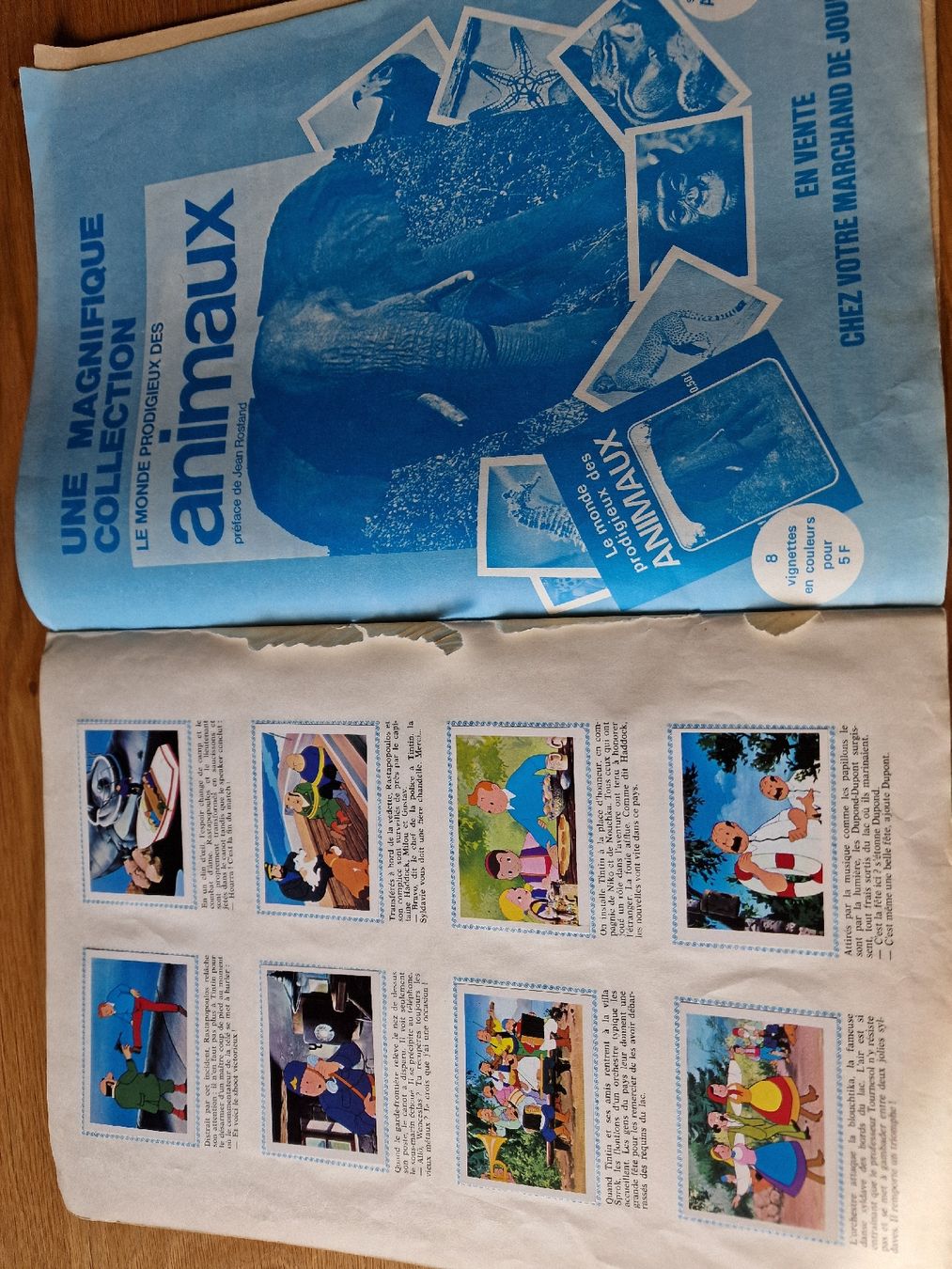 Comics: BD Tintin et le lac aux requins – Gebraucht aus Oberhofen AG von jac_f7t8 4