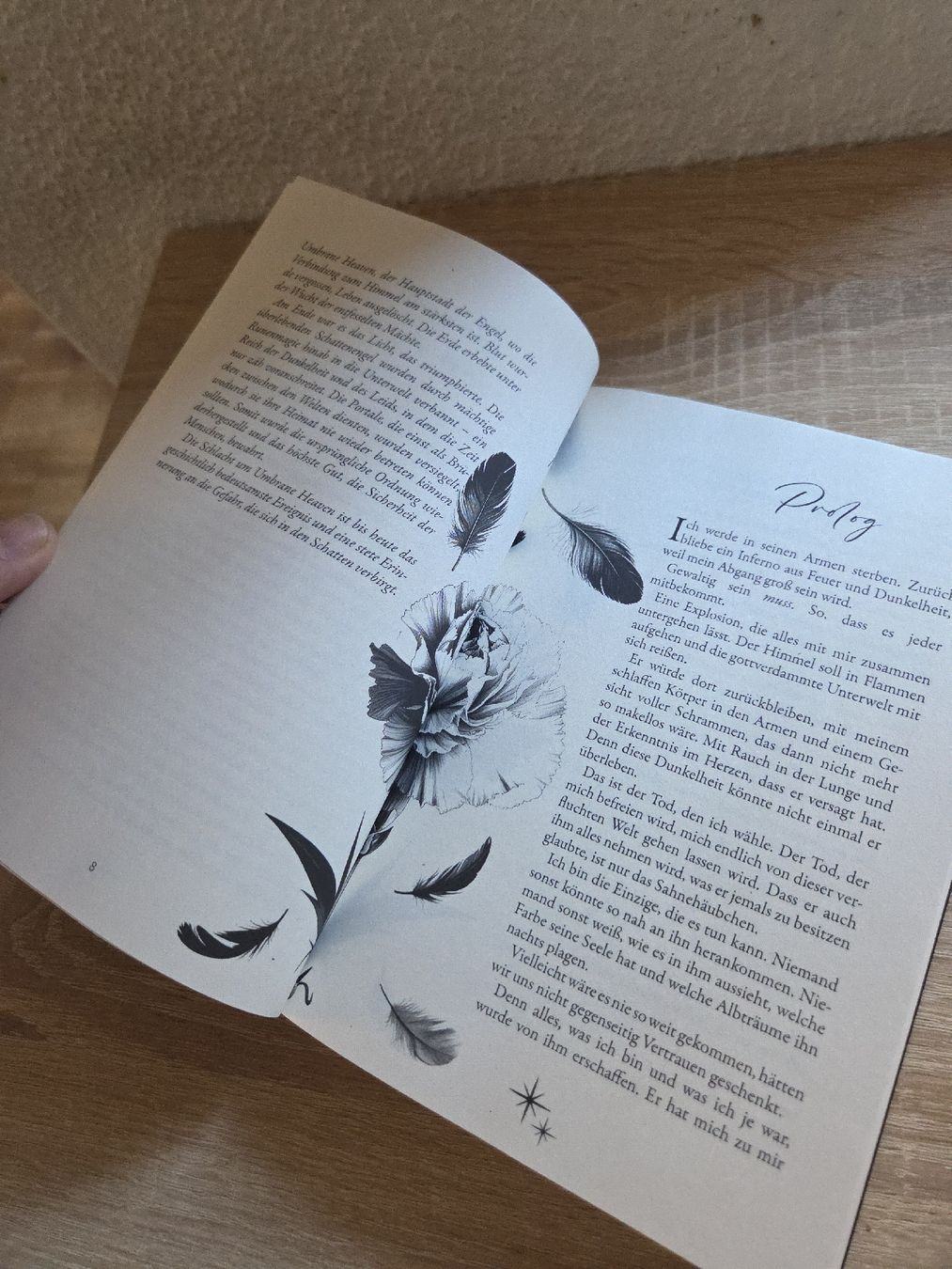 Libri: Lisa Mariah - When Angels Fall - Neuwertig! – Nuovo (secondo la descrizione) da Näfels venduto da CH.Kchlineknopf 2