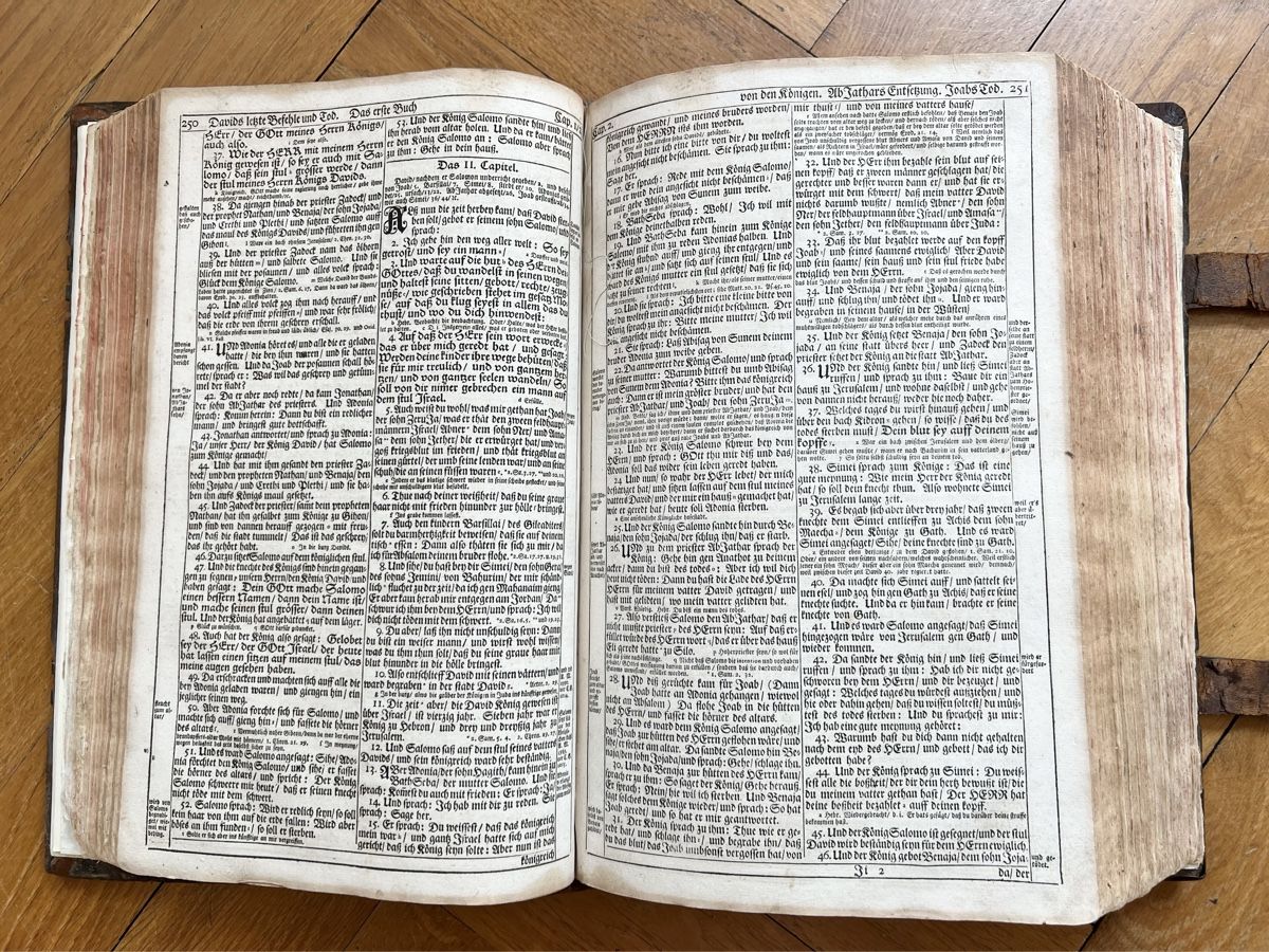 Libri: Luther – Bibel 1720 – Usato da Bern venduto da zanie 4