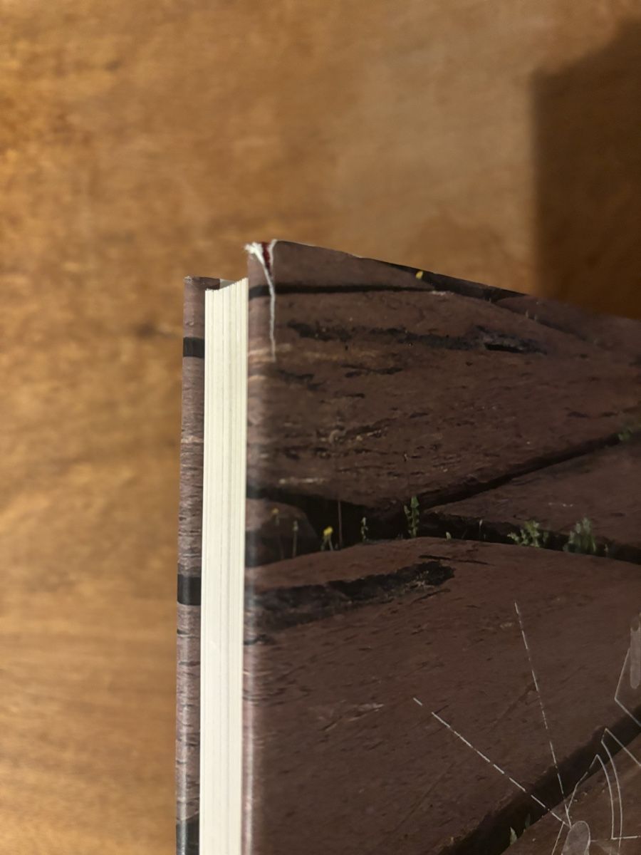 Libri: Syntax der Landschaft. Landschaftsarchitektur Peter Latz – Usato da Zürich venduto da WWehrle 4