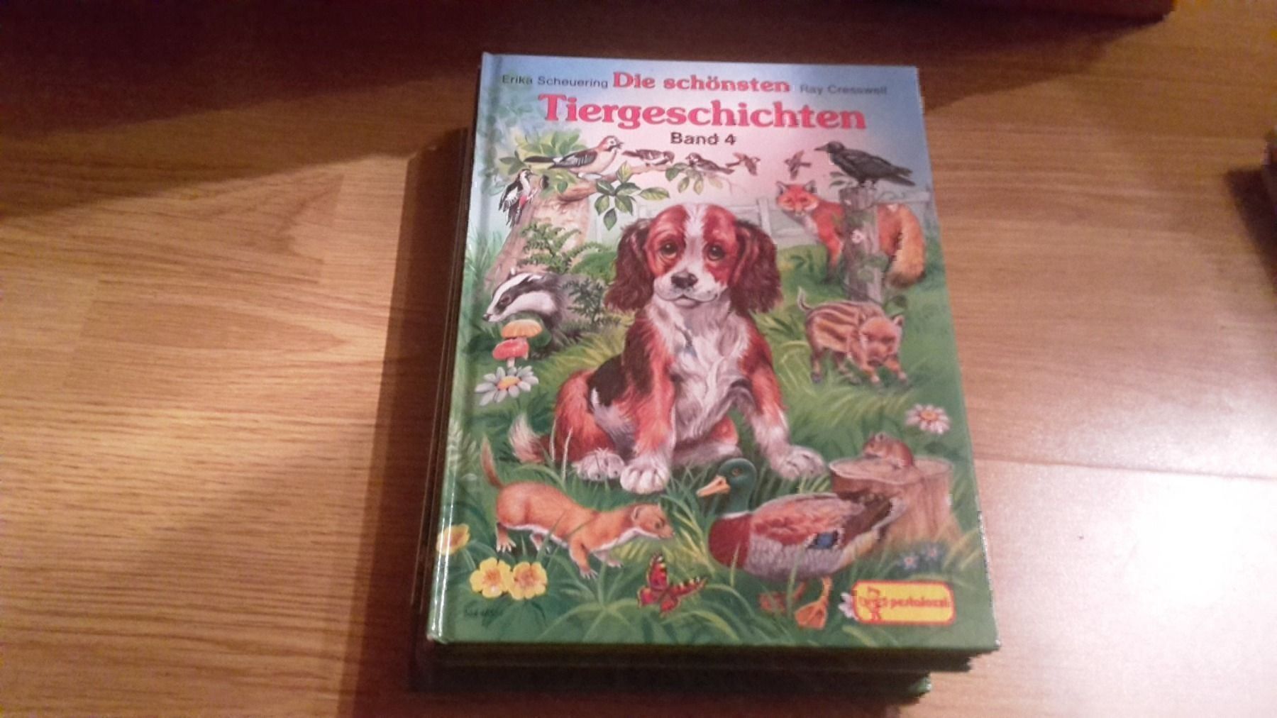 Libri: Buch Die schönsten Tiergeschichten – Nuovo (secondo la descrizione) da Schwarzenburg venduto da Flamingo07