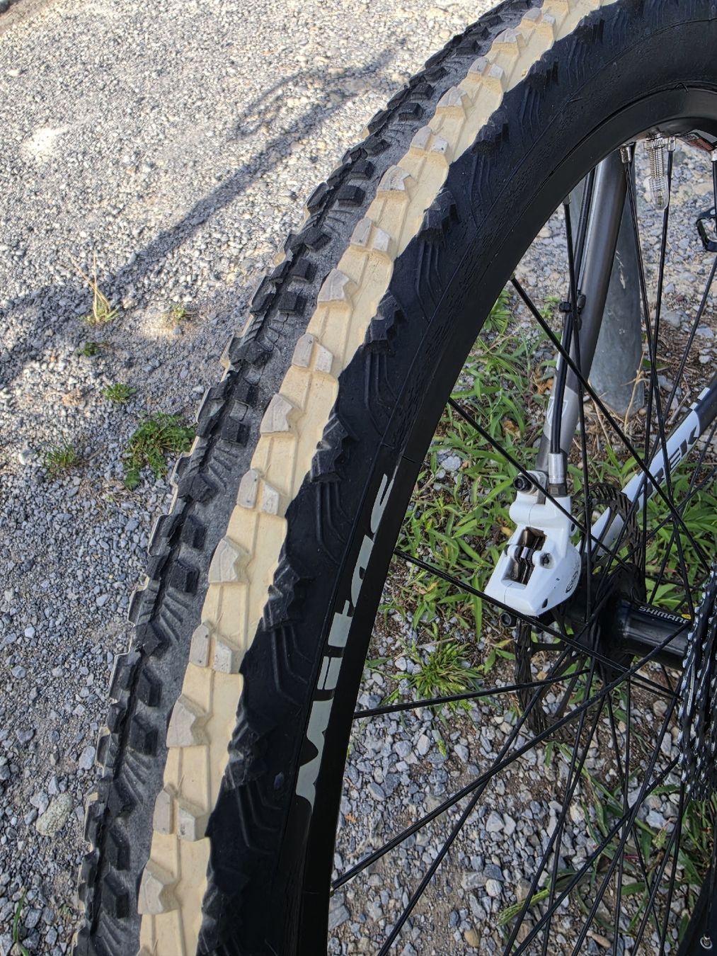 Trek Biciclette: Trek Bike – Usato da Untersiggenthal venduto da Rhofi 5