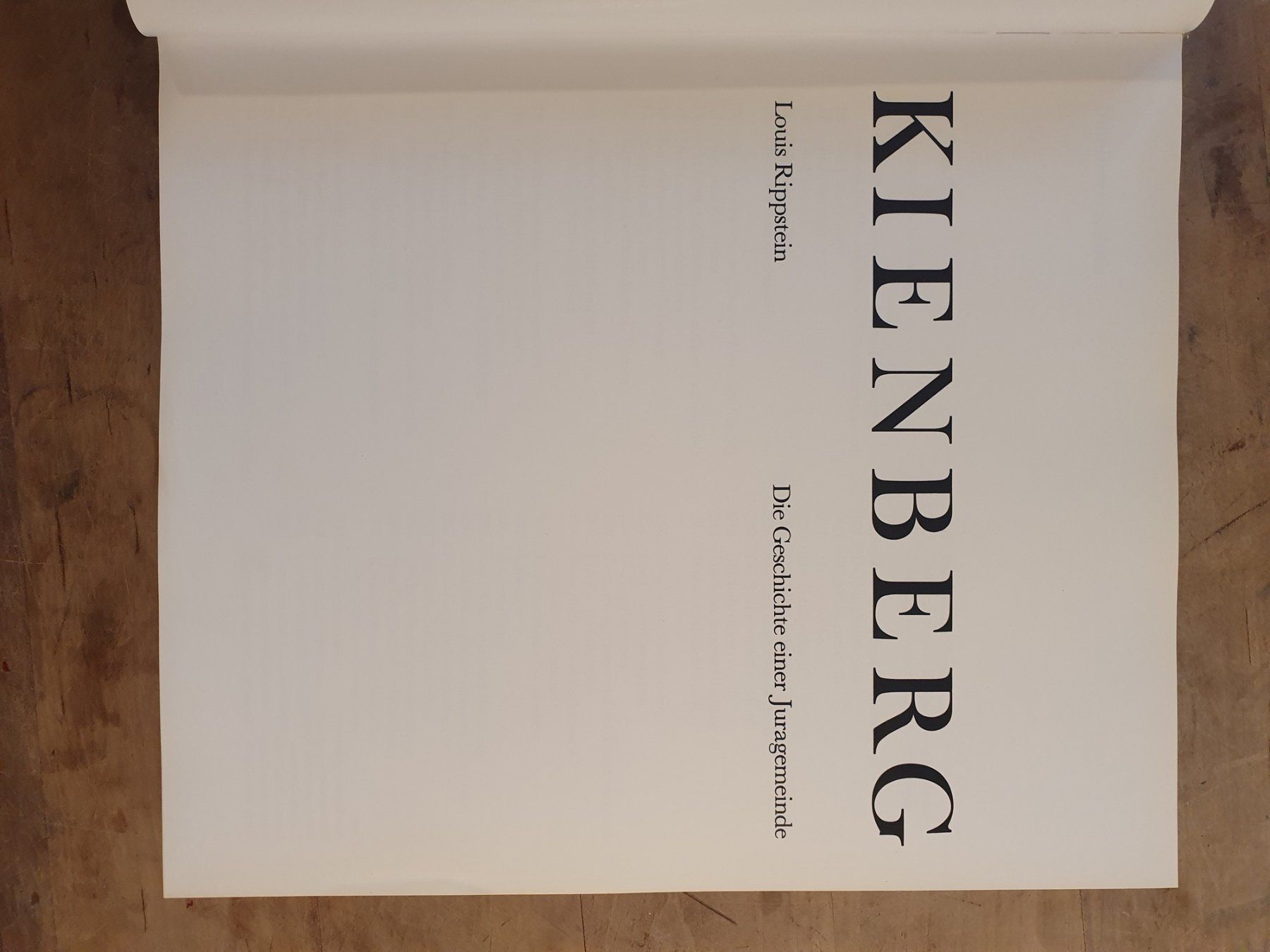Libri: Kienberg Louis Rippsstein – Usato da Zürich venduto da loosebone 1