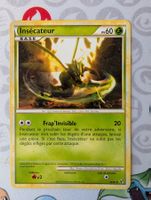 🇫🇷 Pokemon Insecateur Indomptable HGSS FR