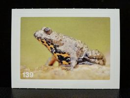 MIGROS MANIA Nature Detectives Nr. 139