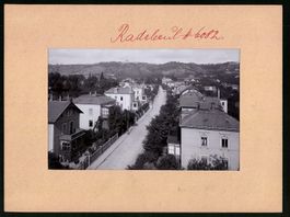 Fotografie Radebeul, Blick in die Rosens