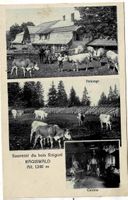 Souvenir du bois Raiguel Rägiswald  1927