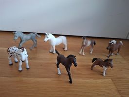 Schleich Pferde Fohlen, 7 Stk., Top Zustand, günstig!