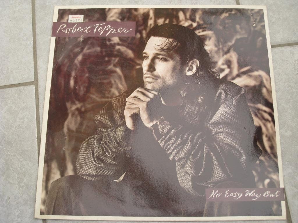 Vinyles: LP - ROBERT TEPPER - NO EASY WAY OUT – D'occasion à Steckborn par Quo7