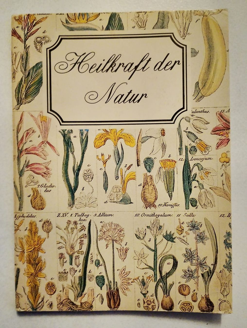 Libri: Heilkraft der Natur – Usato da Ehrendingen venduto da 2Guagua2
