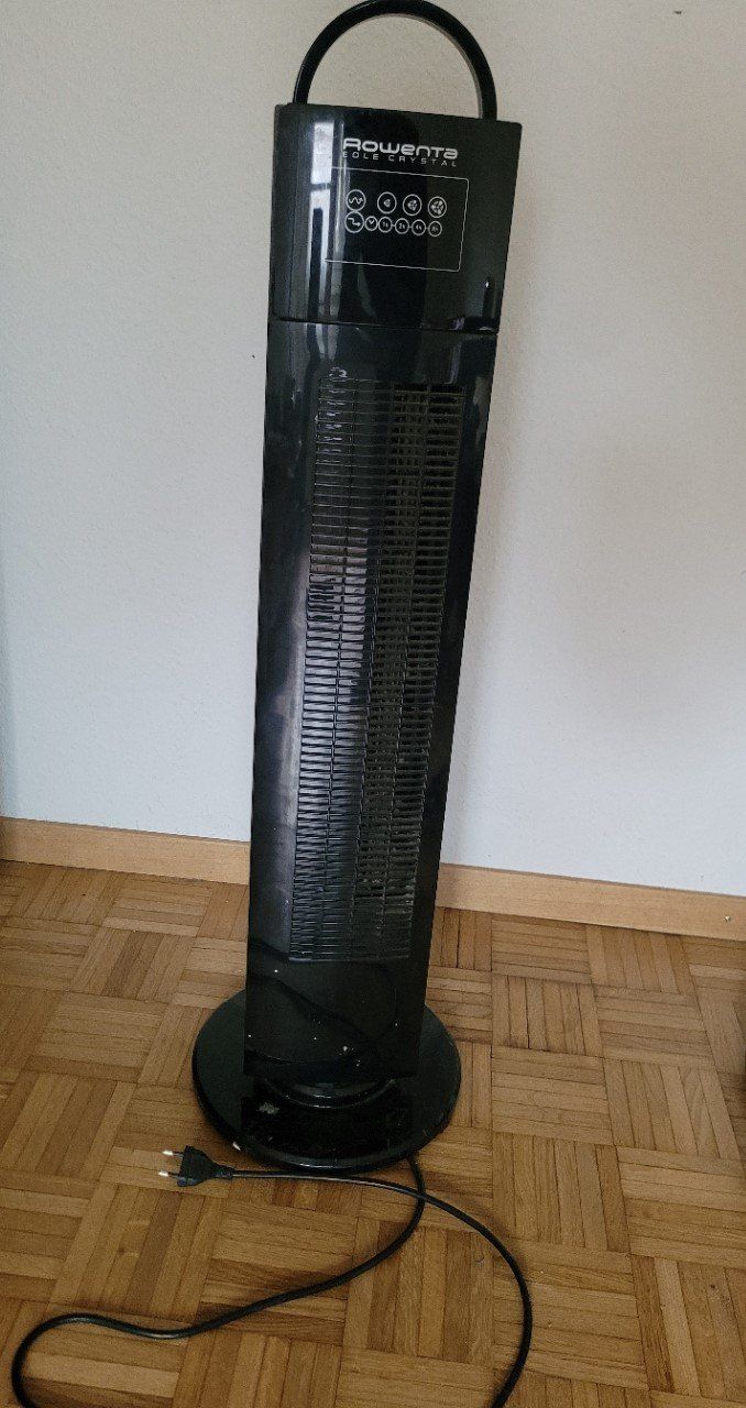 Rowenta Ventilatori: 2 Ventilateurs – Usato da Genève venduto da dar_fzy7
