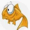 Profile image of Goldfish-13