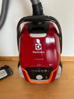 Electrolux UltraOne ZUOORIGWR+ – Staubsauger