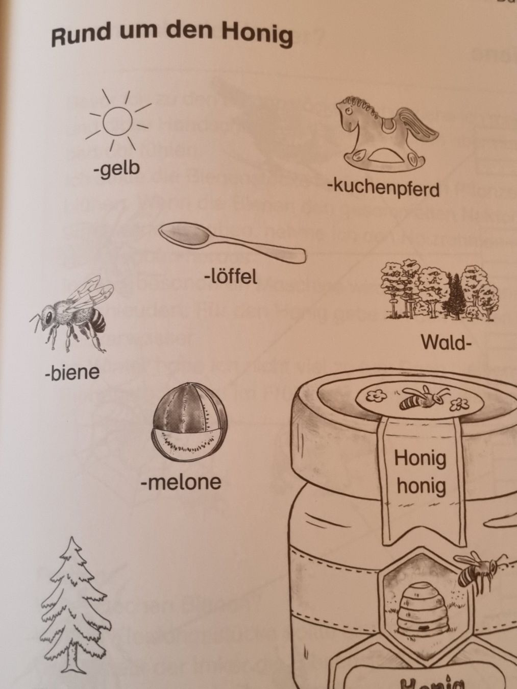 Riviste & Magazine: Themenheft Bienen 1./2. Klasse – Usato da Weite venduto da Nur63 7