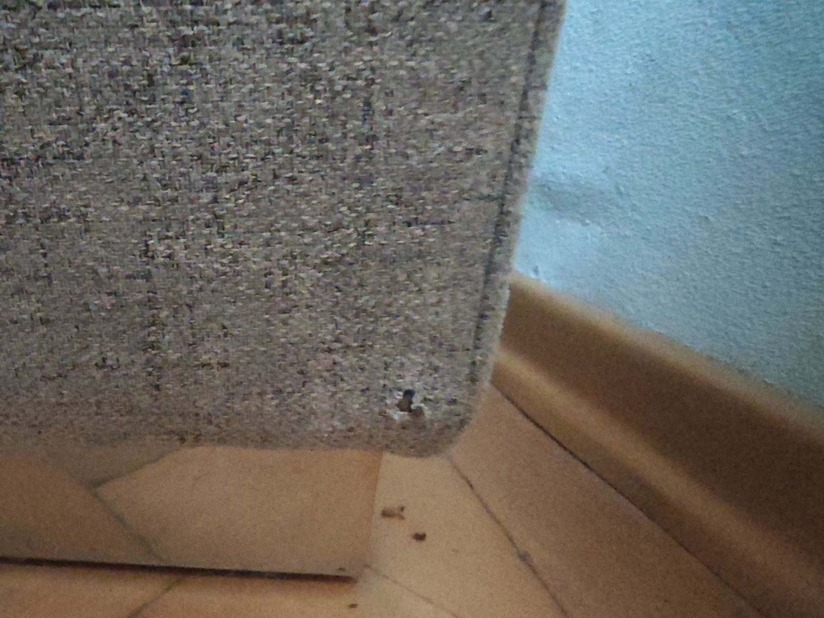 Sofas: grosses, super bequemes Sofa – Gebraucht aus Engwang von mumbi88 4