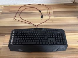 Tastatur Parthica
