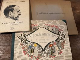 Ernst Kreidolf Alpenblumenmaerchen Buch mit Illustratione...