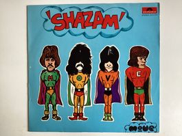 The Move LP - Shazam (Backcover hat kleinen Defekt )