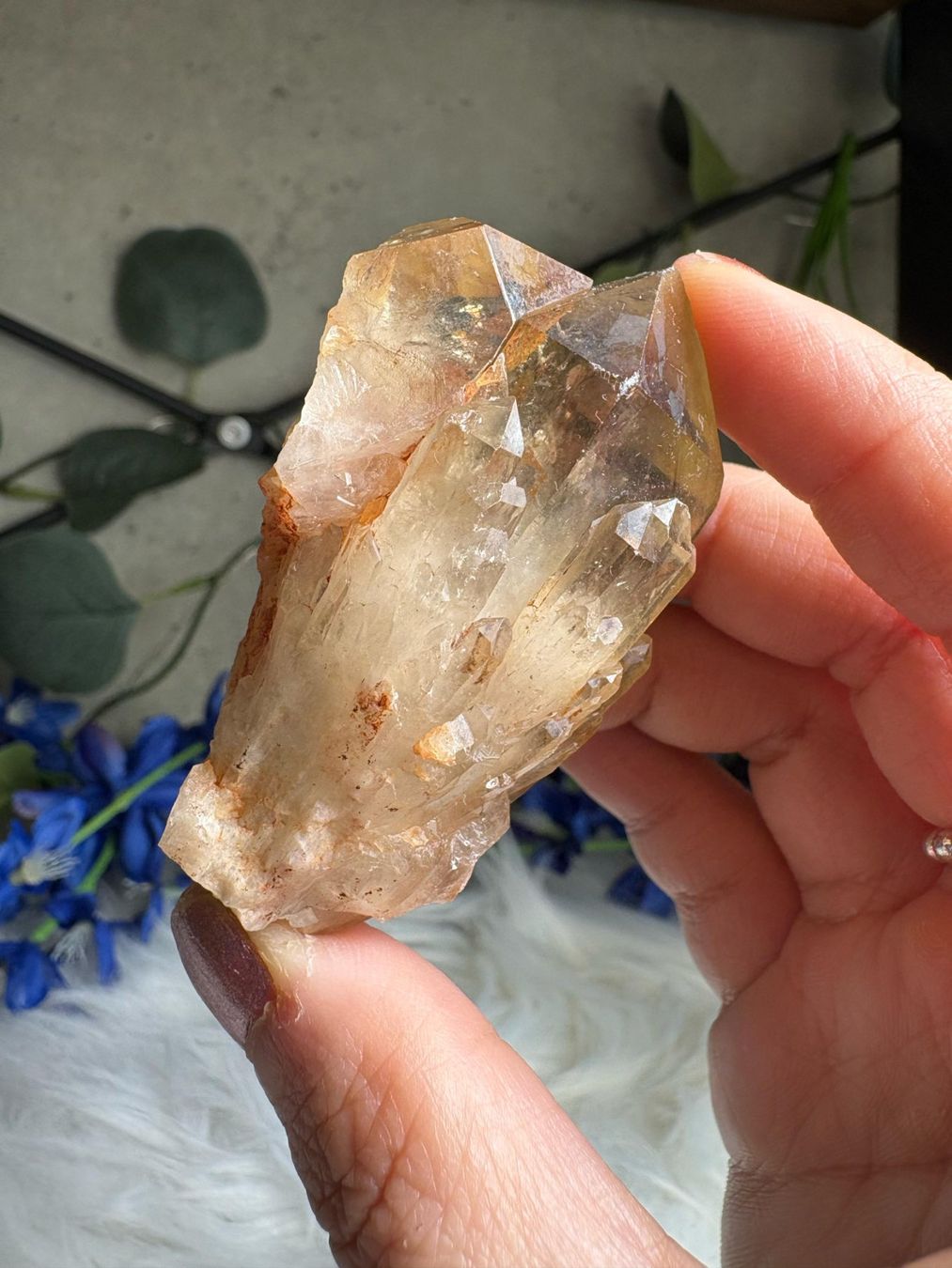 Minerali & Pietre curative: Kundalini Citrin Cluster mit Phantom – Nuovo (secondo la descrizione) da Neuheim venduto da m.hald 7