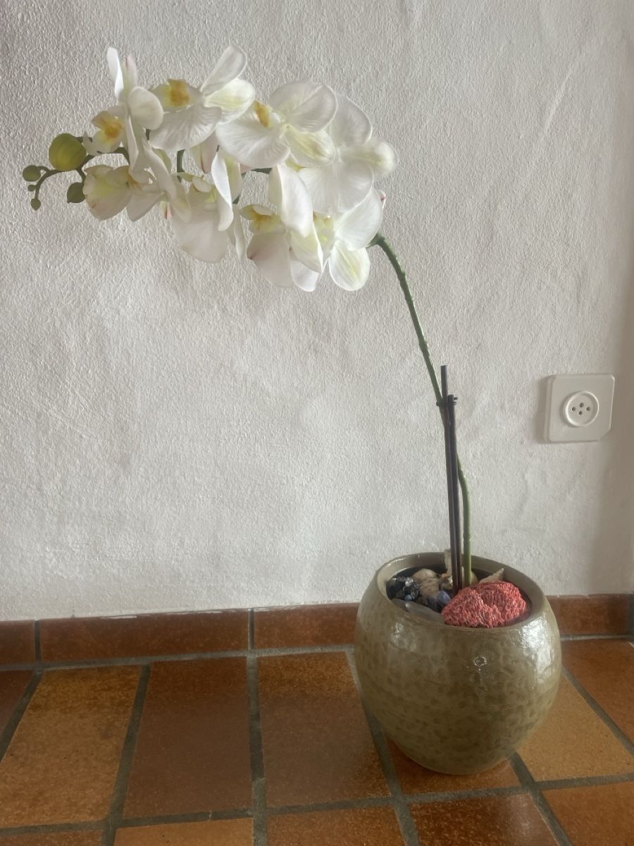 Piante & sementi: Kunstpflanze Orchidee – Usato da Freidorf TG venduto da ibipatria