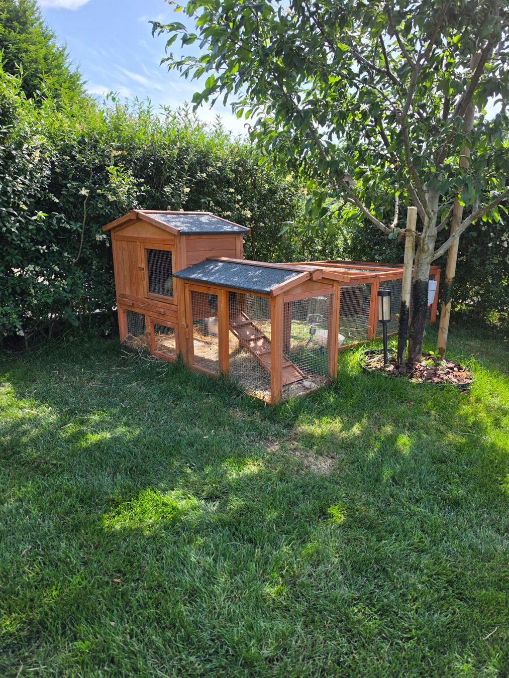 Cages, transport & sécurité: Kaninchenstall – D'occasion à Altishausen par ter_58nj