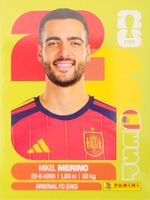 Panini FIFA World Cup ESP 14