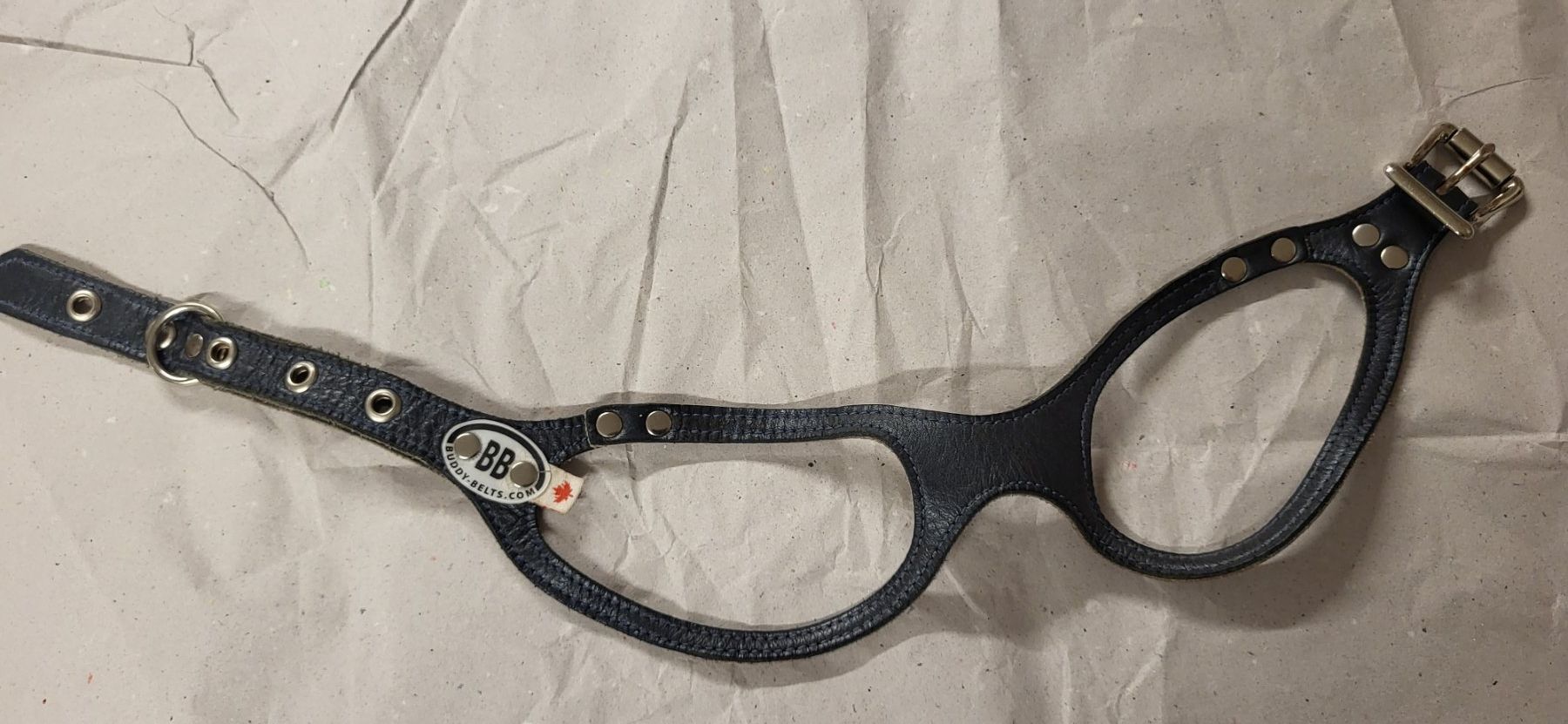 Leine & Halsband: Buddy Belt Hundegeschirr Grösse 4 – Gebraucht aus Boppelsen von Firebird79
