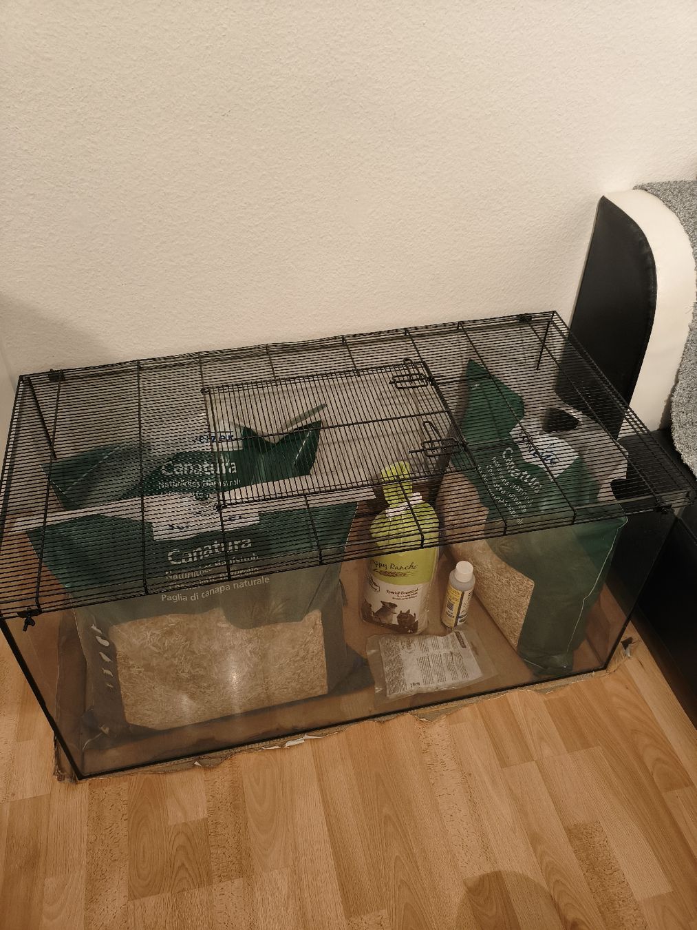 Terrariums: Terrarium – D'occasion à Schaffhausen par Interceptor-SH