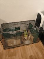 Terrarium