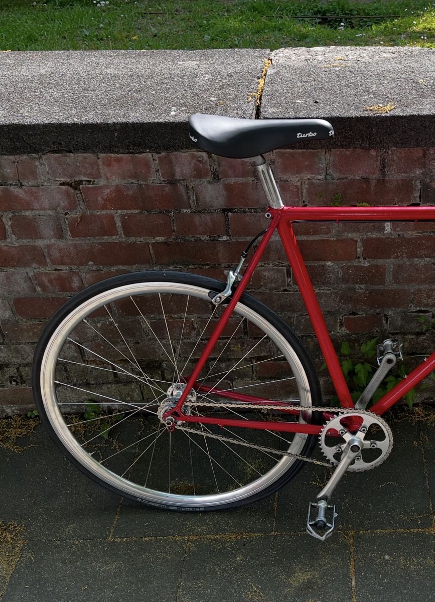 Biciclette: singlespeed costum built citybike – Usato da Bern venduto da sam_c78d 2