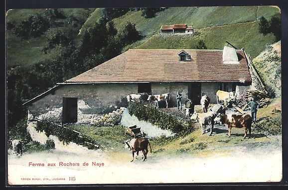 Cartoline postali: AK Rochers de Naye, Ferme – Usato da Berlin venduto da bartko-reher