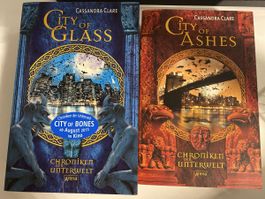 Chroniken der Unterwelt Band 2+3 Cassandra Clare