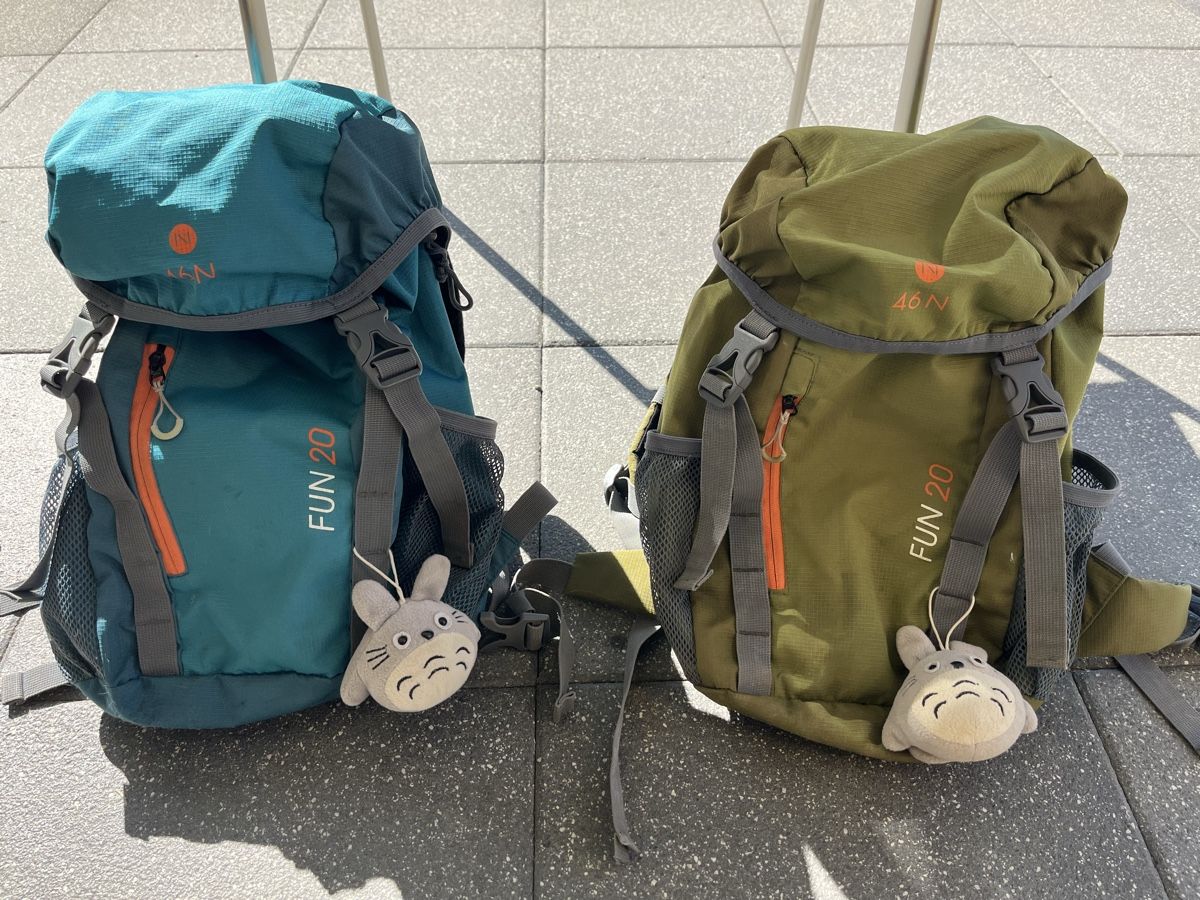 46 Nord Sacs & sacs à dos: Wanderrucksäcke Kinder – D'occasion à Magden par Jackevaro