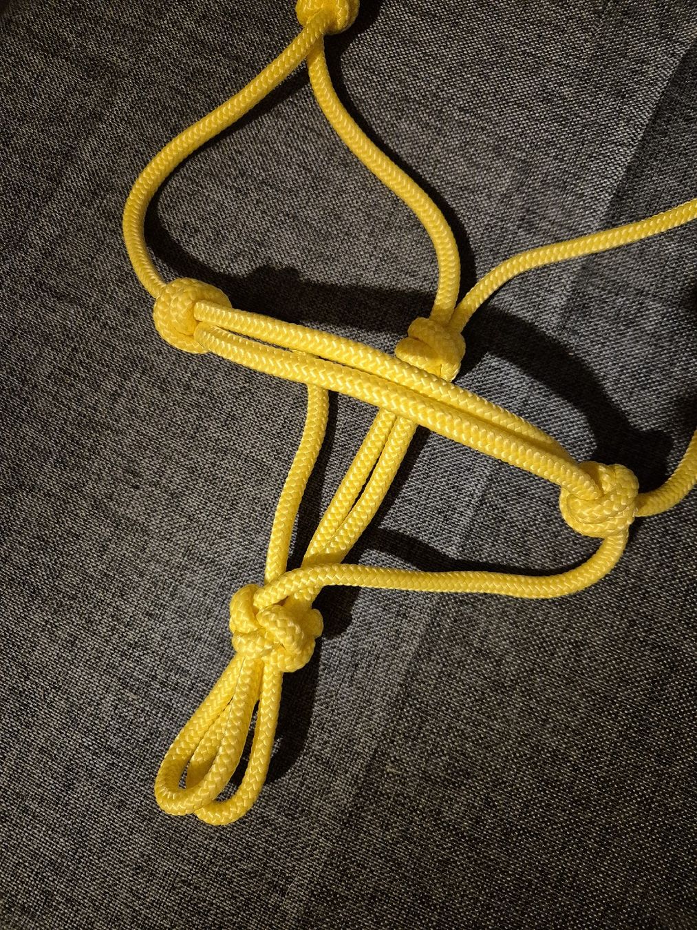 Briglie & Cavezze: Knotenhalfter Cob – Nuovo (secondo la descrizione) da Meggen venduto da Orrinka20 1