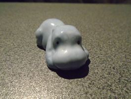 Hund grau, liegend