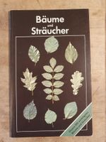 Bäume und Sträucher Patenschaft