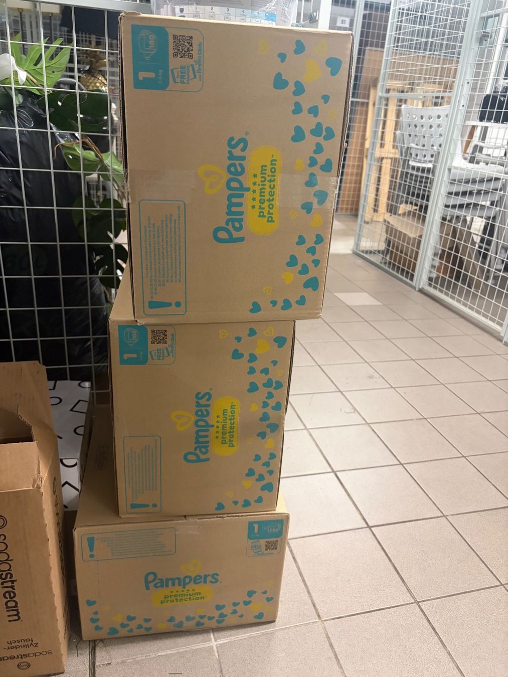 Pampers Windeleimer & Windeln: Pampers Premium Protection 1 – Neu und originalverpackt aus Bern von marijukas
