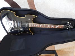 KISS Washburn Signature Guitar