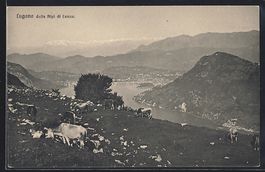 AK Lugano, Lugano delle Alpi di Lanzo